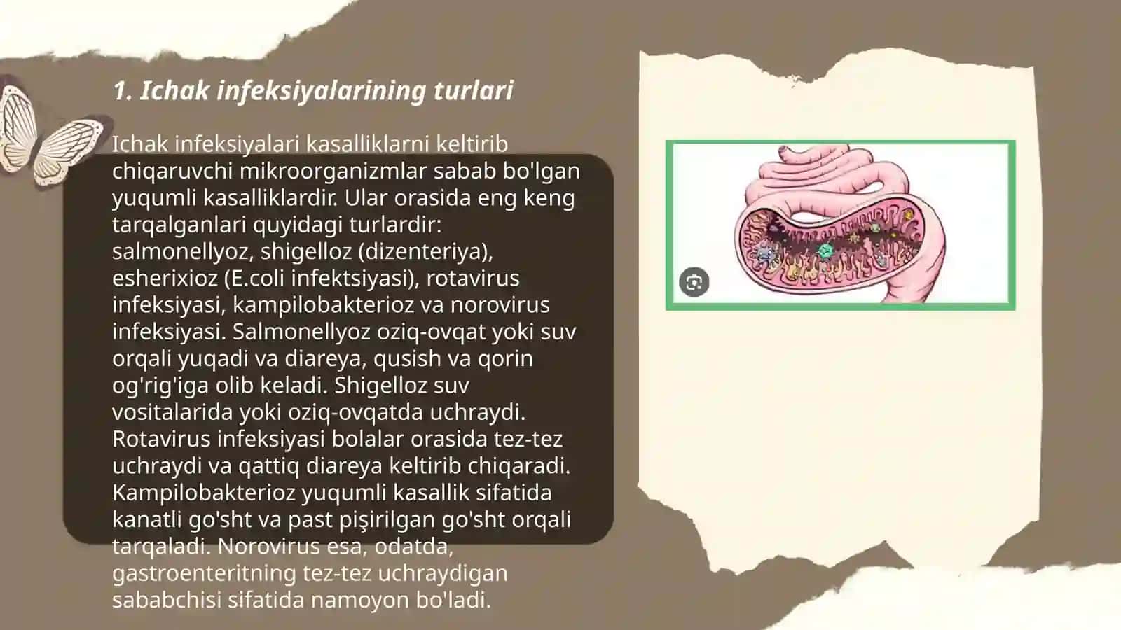 Ichak infeksiyalari 3