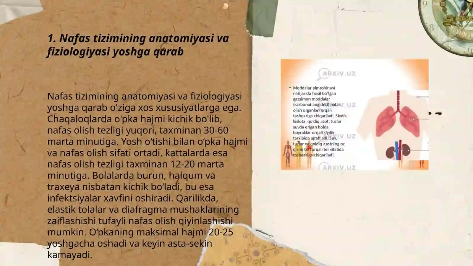 Nafas tizimining yoshga oid fizialogiyasi va gigiyenasi 3