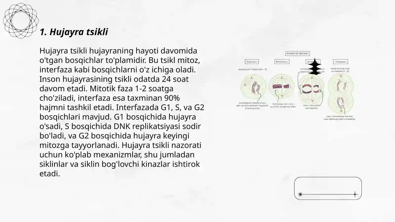 Hujayra poliferatsiyasi: Mitoz va Meyoz 3