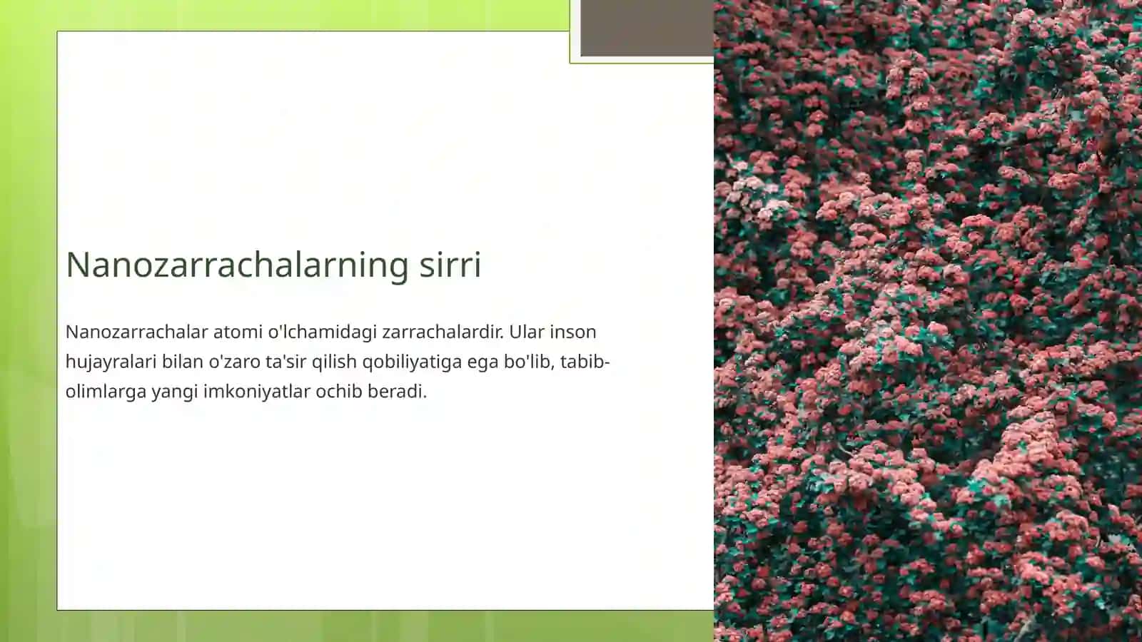 Nanotexnologiyalarni qo'llashning etik jihatlari 3