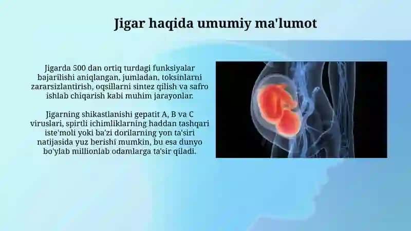 Jigar haqida umumiy ma'lumot 3