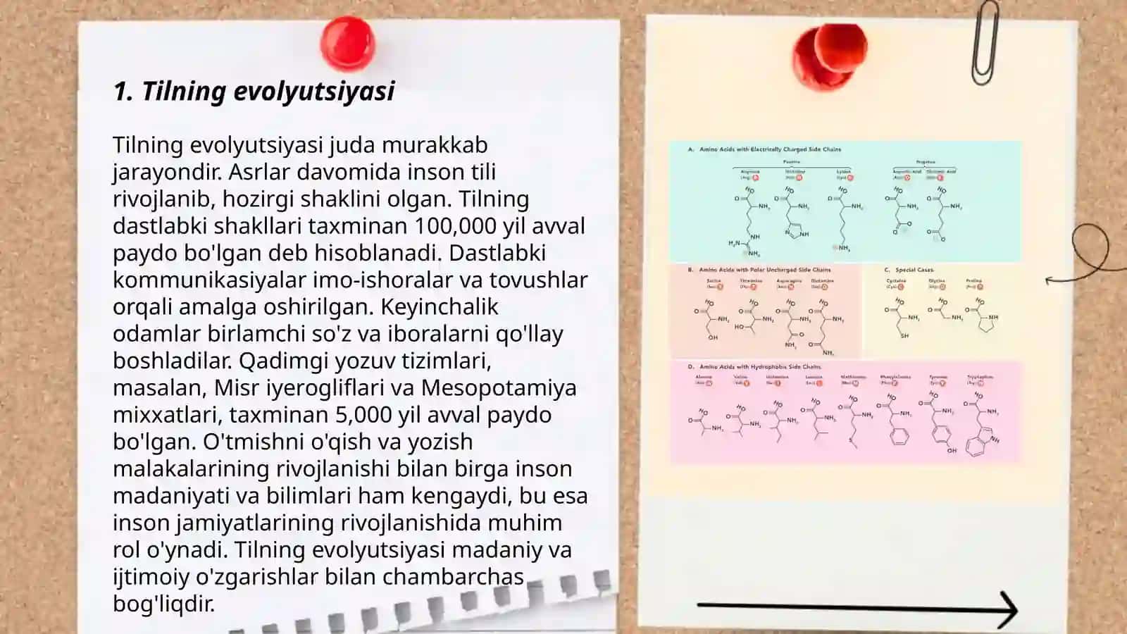 Tillarning genetik qarindoshligi. Bobo til tushunchasi 3