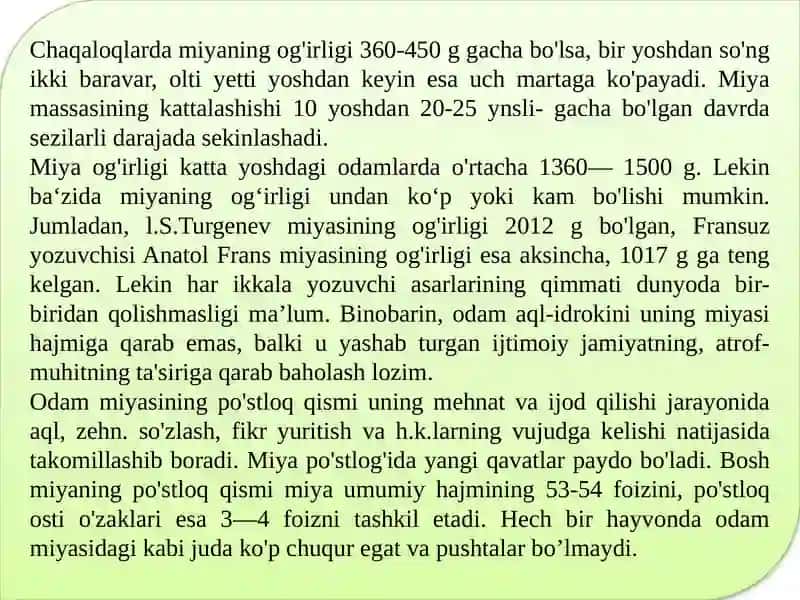 Bosh miya 3