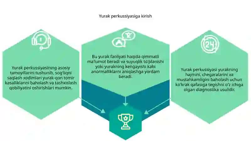 Yurak perkussiyasi 3