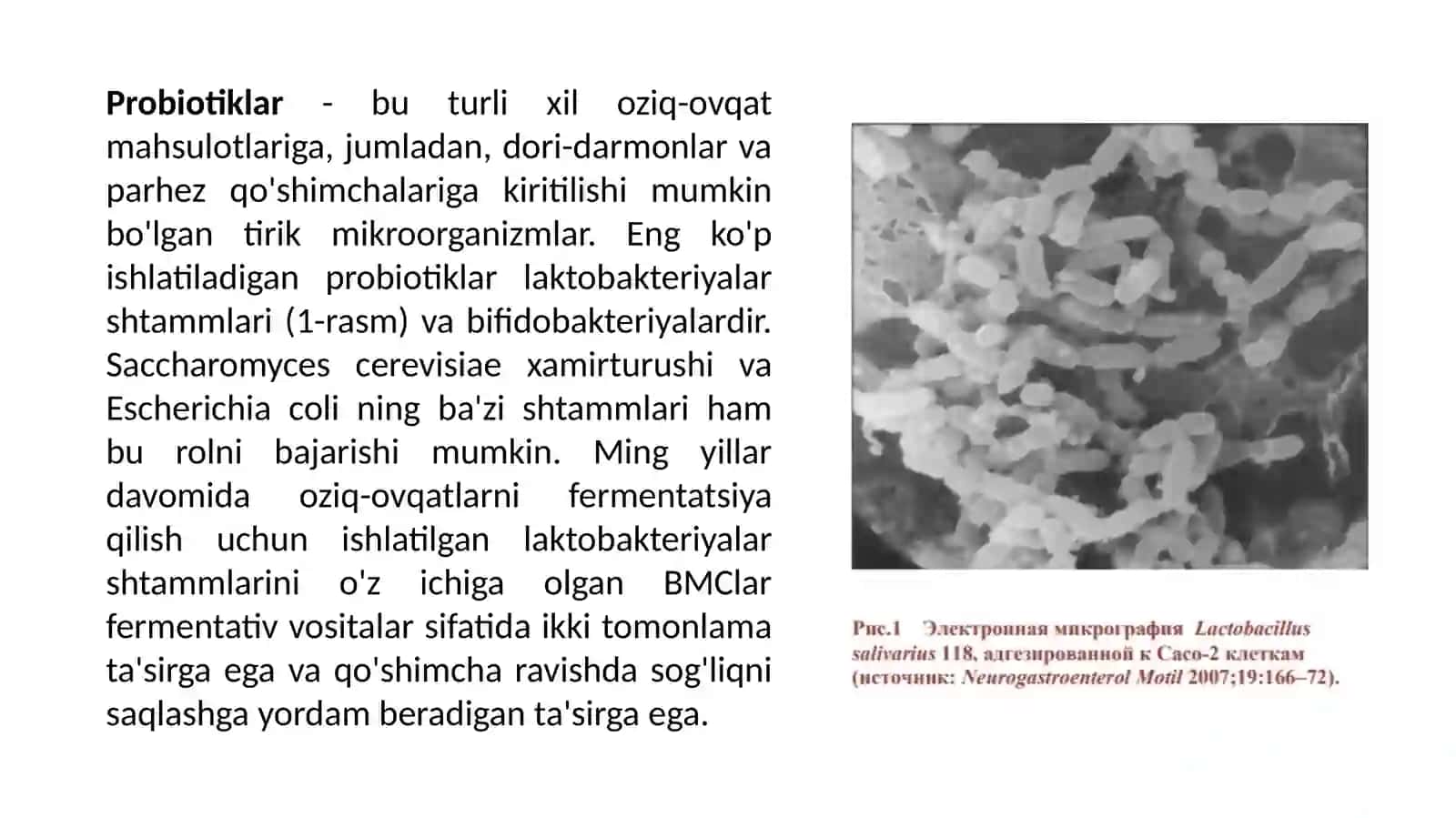 Kontrasepsiya vositalari. Probiotiklar va prebiotiklar 3