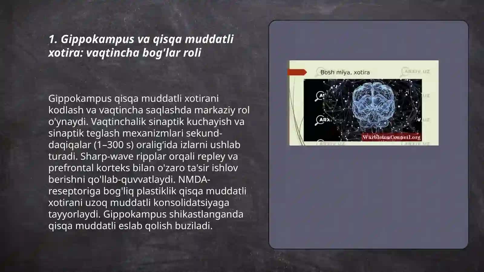 Xotira, diqqat va vaqtincha boğlar hosil bôlish mexanizmlari 3