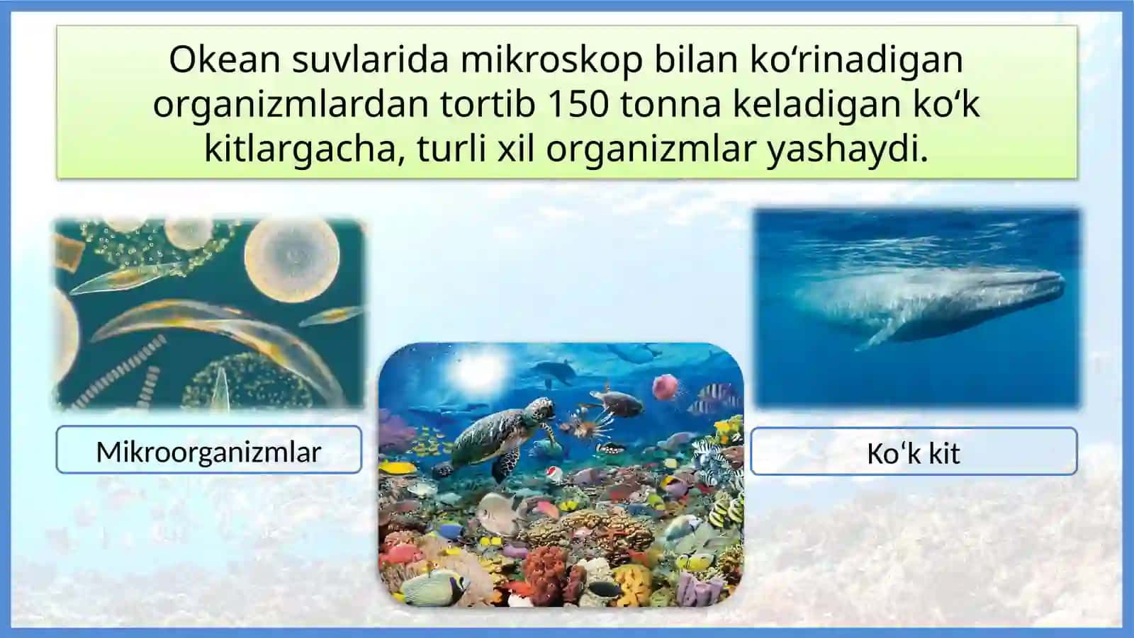 Geografiya o'qitish metodikasi fanidan tayyorlagan mustaqil ishi 3