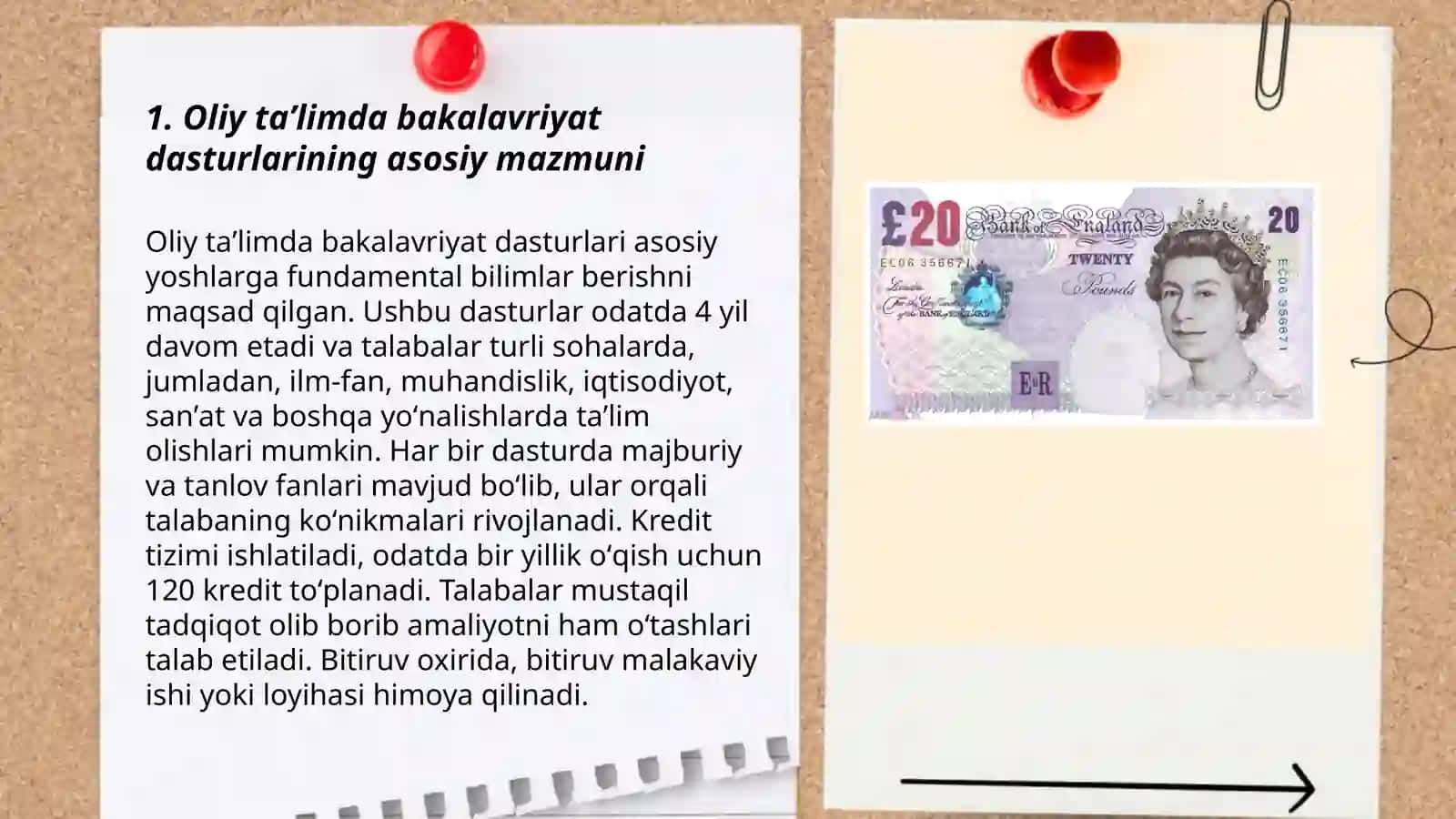 Oliy taʼlim sohasi 3