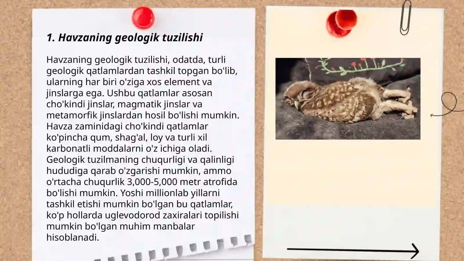 Daryo havzasining tabiiy-geografik xususiyatlari 3