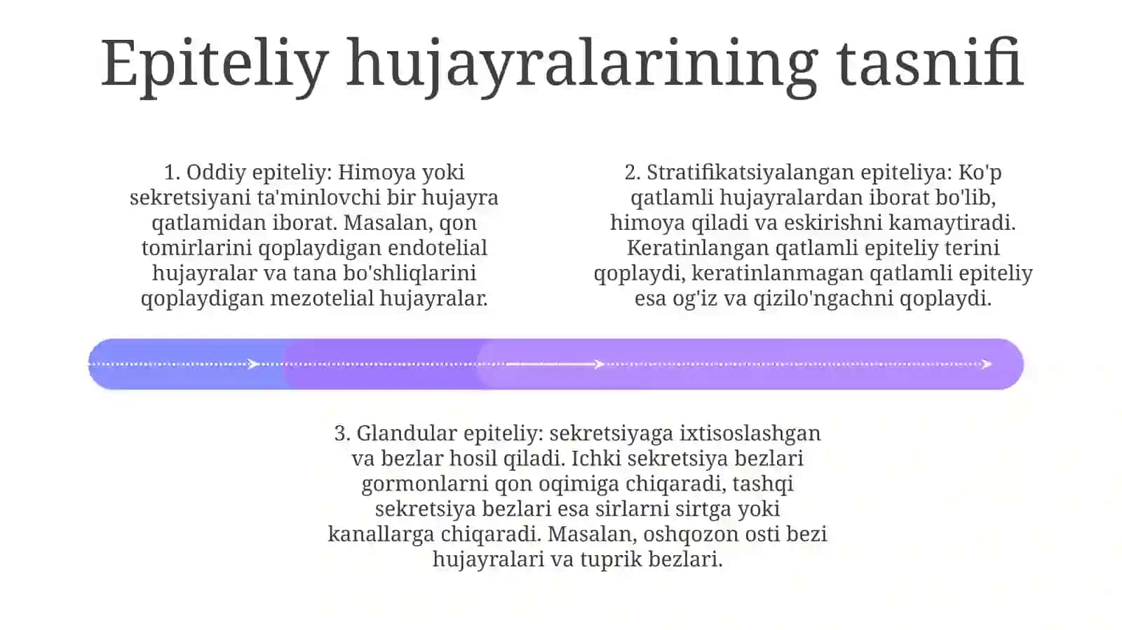 Turli Xil ToʻQimalar Epiteliy Hujayralari Xarakteristikasi 3