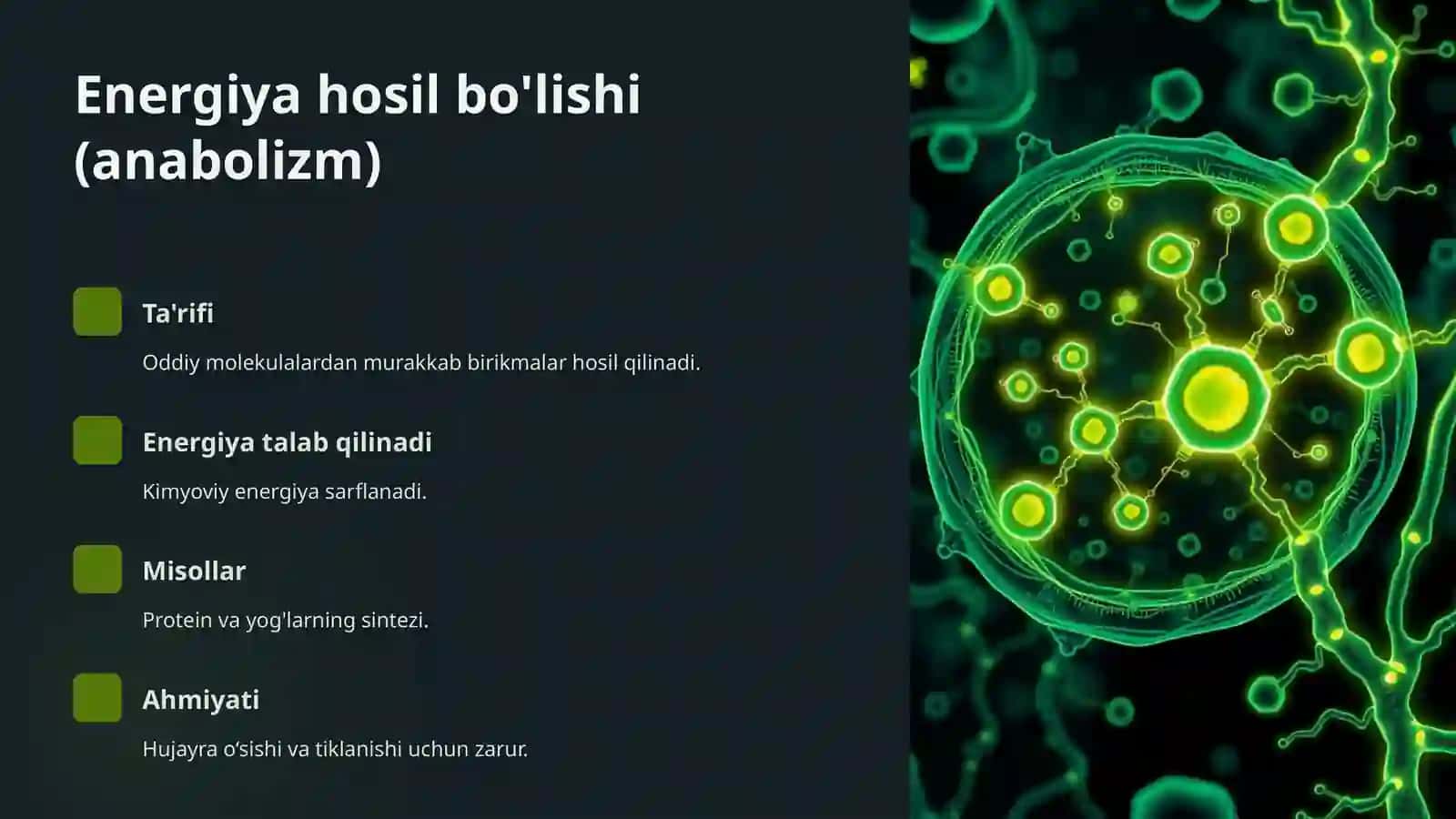 Metabolizm jarayonida energiya hosil bo’lishi va sarflanishi 3