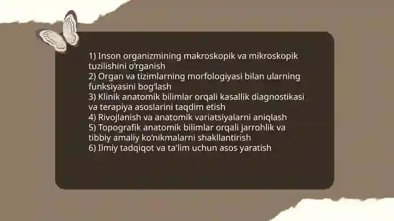 Anatomiya soxalari 3