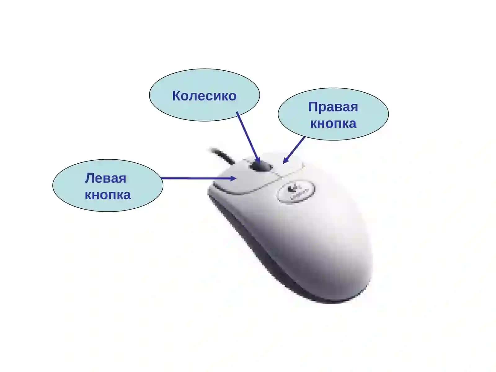 Работа с мышью и клавиатурой 3