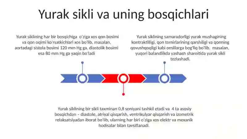 Yurakning gemodinamik vazifasi va muskullarning fiziologik xususiyati 3