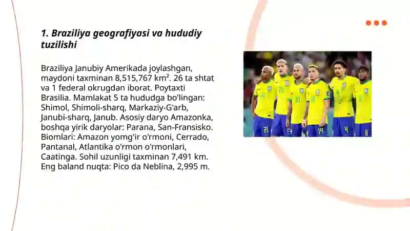 Braziliya davlati 3