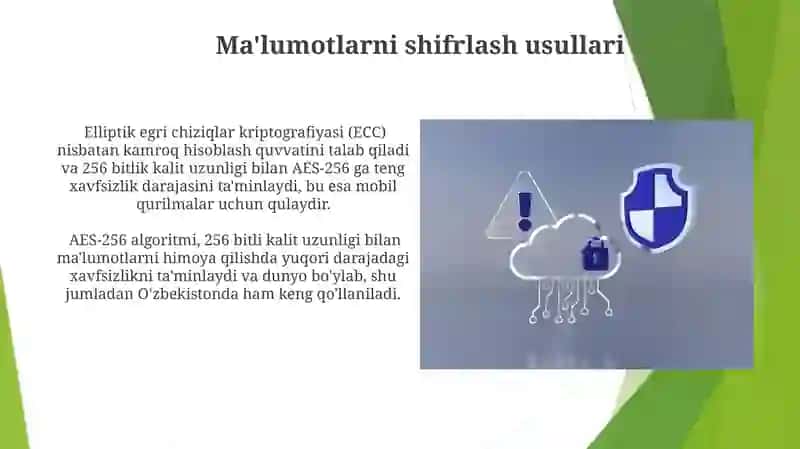 Ma'lumotlarni koʻchirishni himoyalash 3