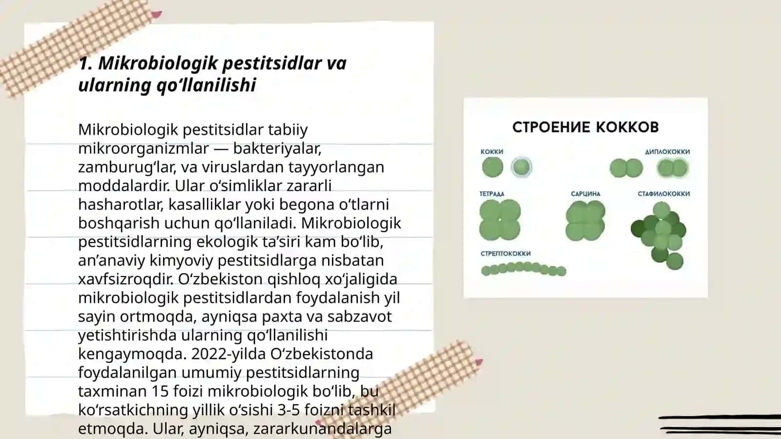 Mikroorganizmlarni qishloq xoʻjaligida oʻsimliklarni himoya qilishda qoʻllanilishi 3