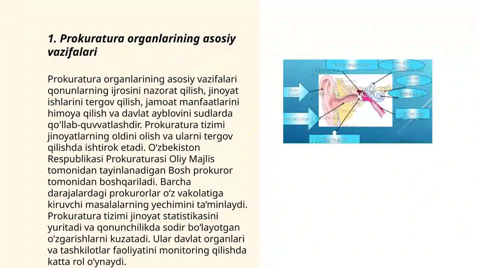 Prokuratura organlari faoliyati toʻgʻrisida 3