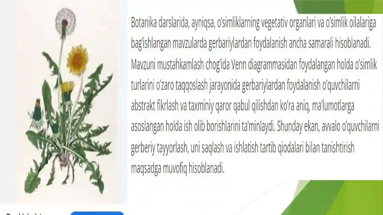 Gerbariy tayyorlash va tayyorlash usullari 3