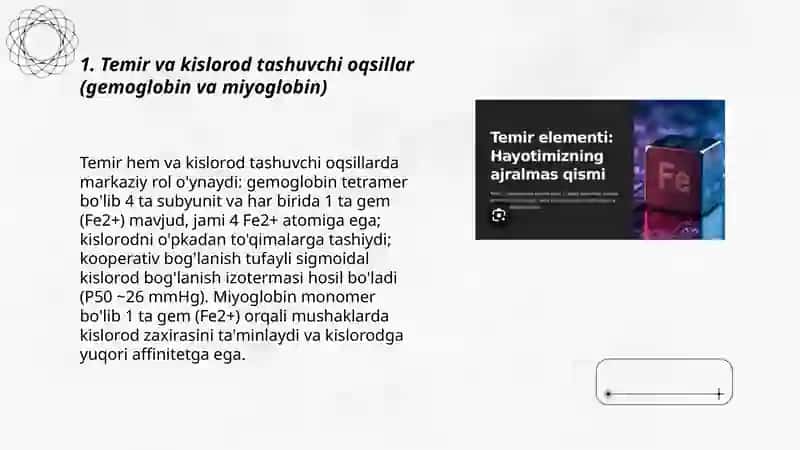 Temirning biologik ahamiyati Abdusamadova Mahliyo 3