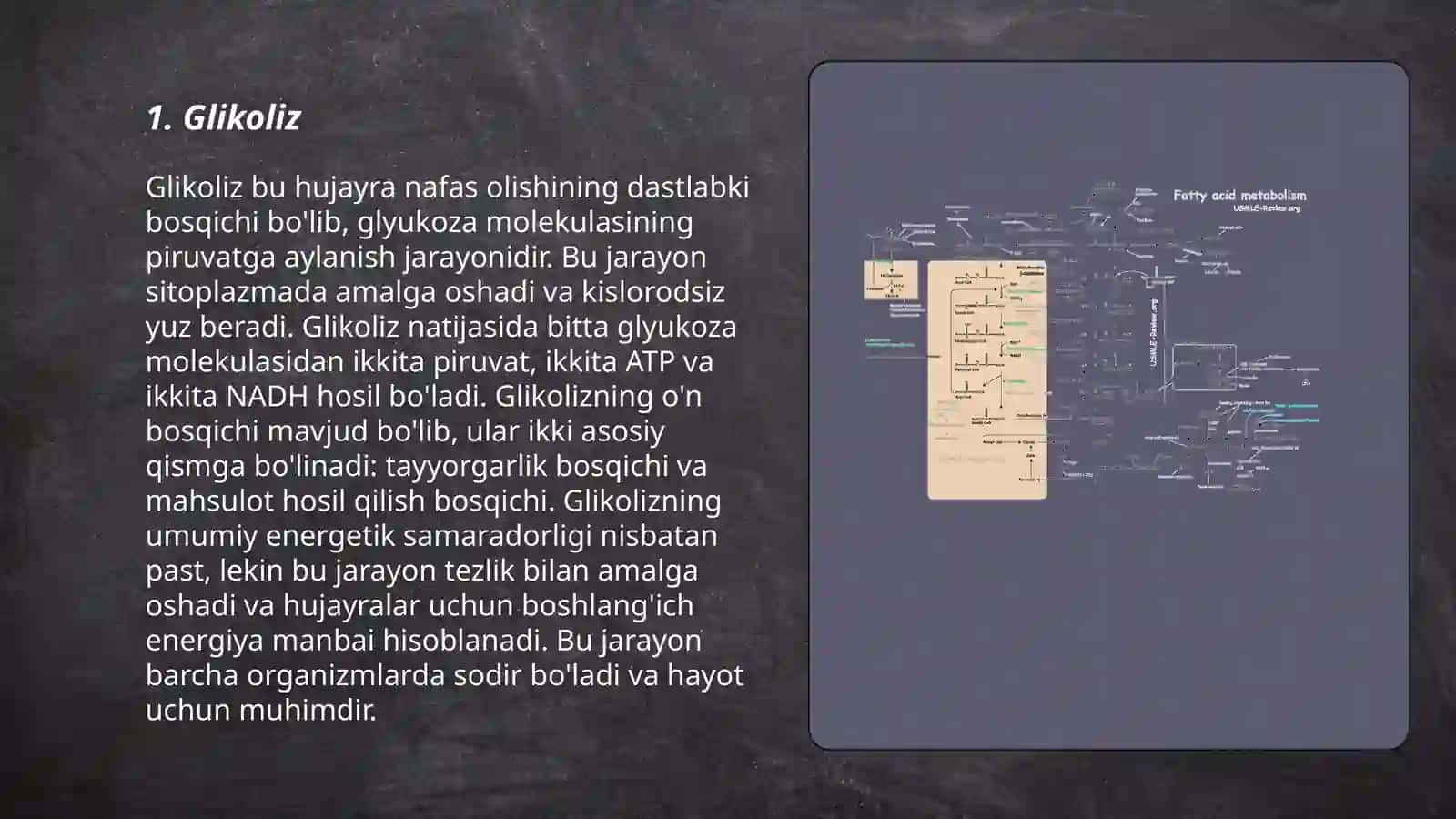 Metabolizimning umumiy yoʼllari 3