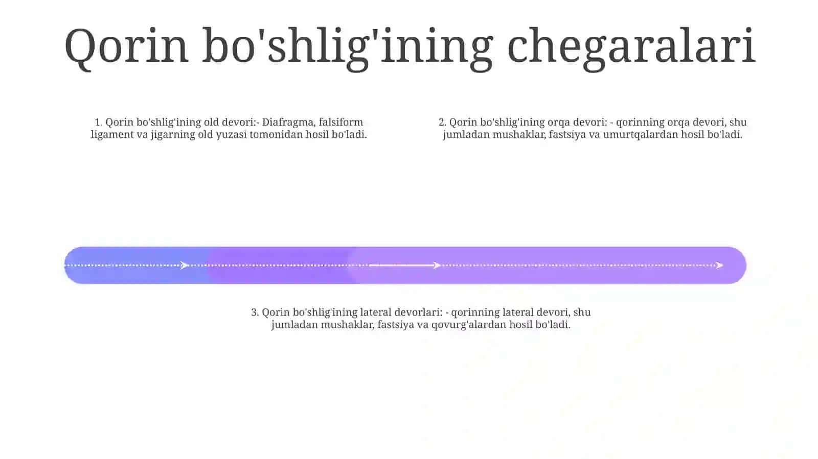 Qorin Parda BoʻShligʻIning Pastki Qavati A'Zolari Topografik Anatomiyasi 3