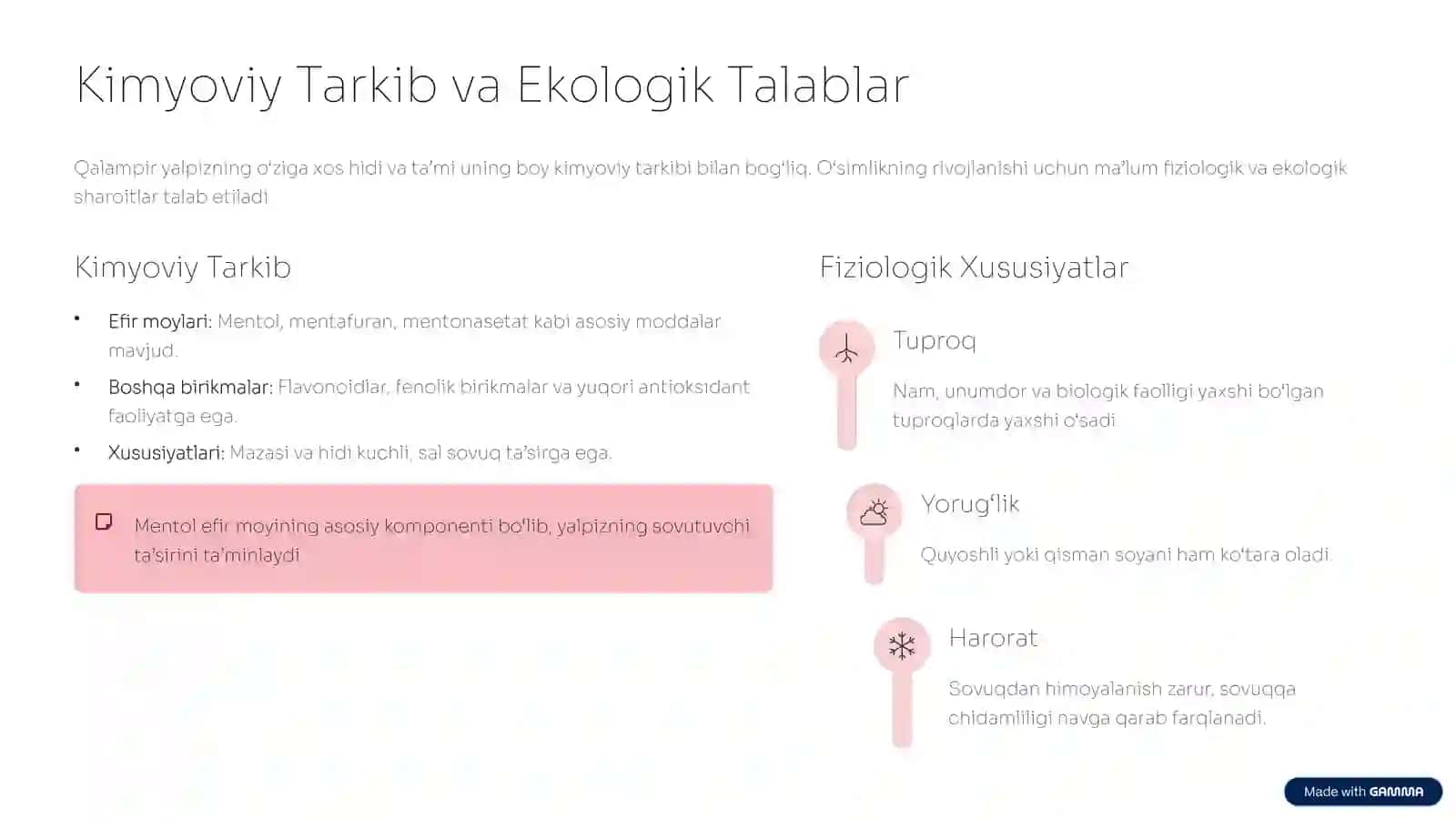 Qalampir Yalpiz: Botanik Tavsif va Yetishtirish Texnologiyasi 3