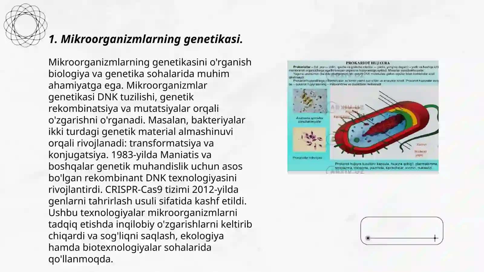 Mikroorganizmlarning genetikasi va oʻzgaruvchanligi 3