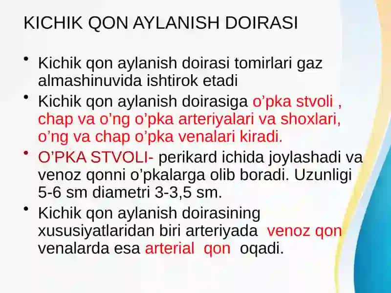 Kichik qon aylanish doirasi tomirlari gazal mashinuvi 3