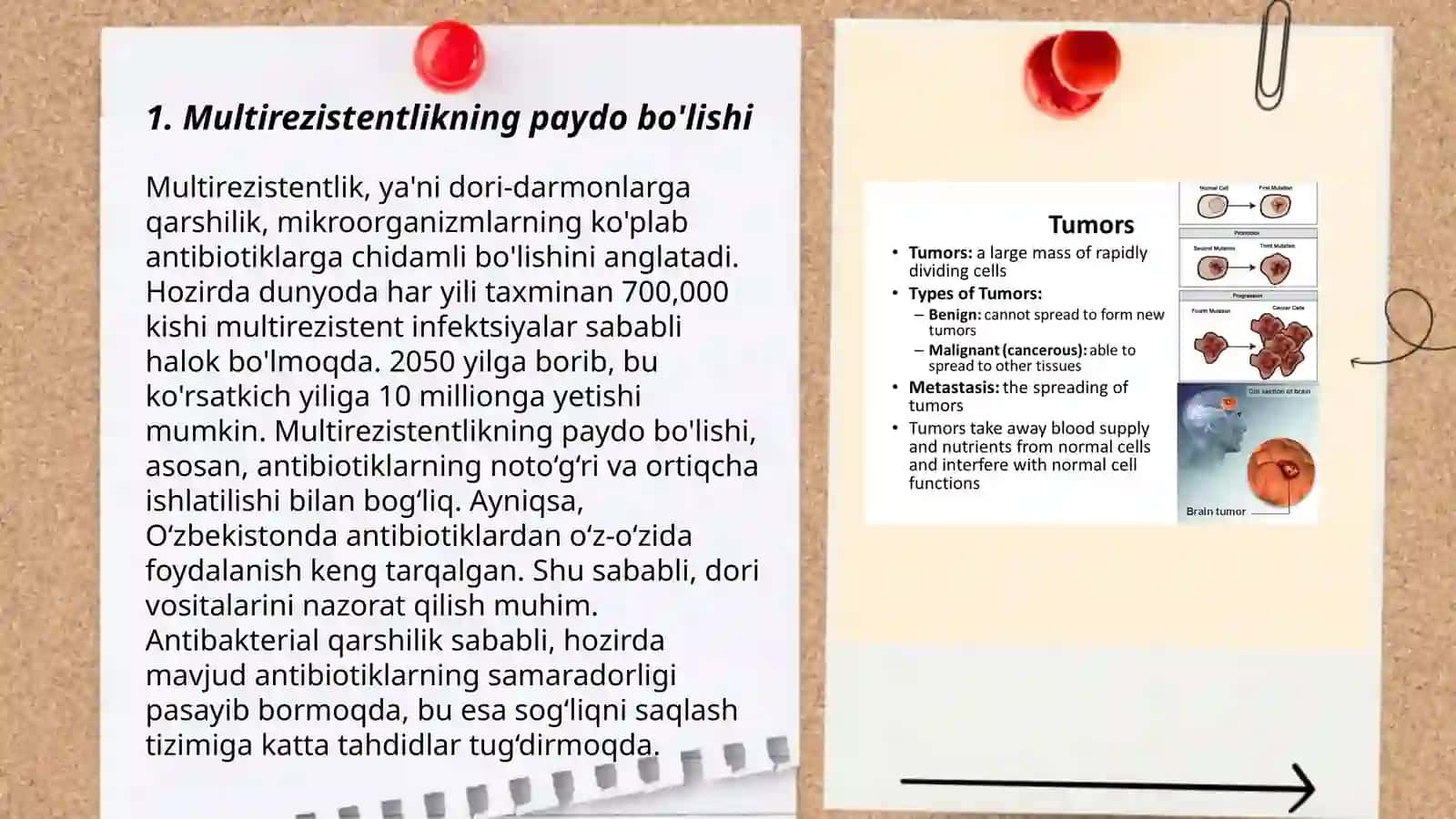 O'sma hujayralarining kimyoviy dori vositalariga multirezistentligi 3