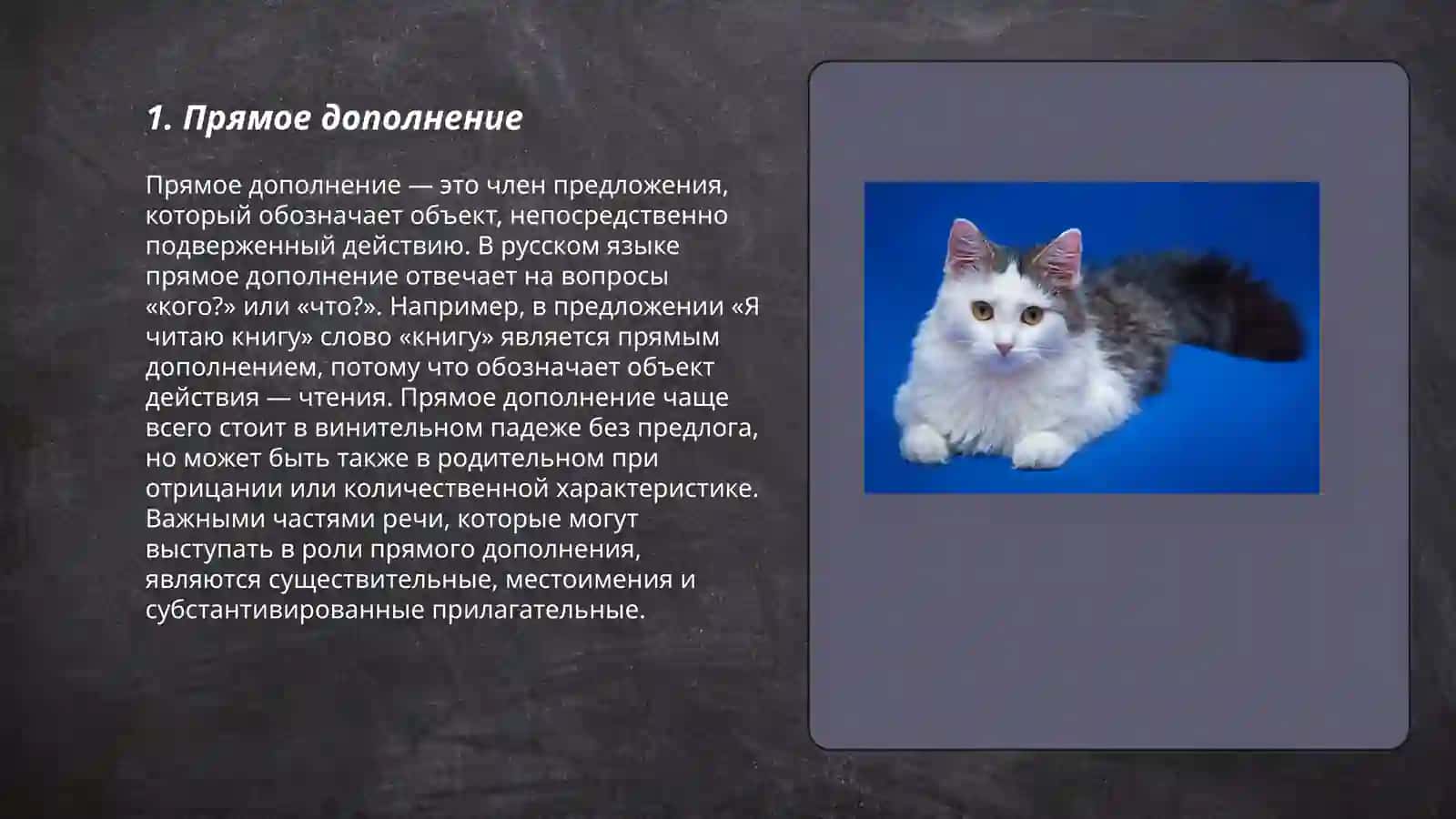 Прямое дополнение 3