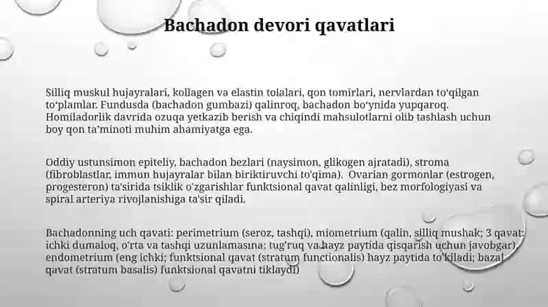 Bachadon va Sut bezlari gistologiyasi 3