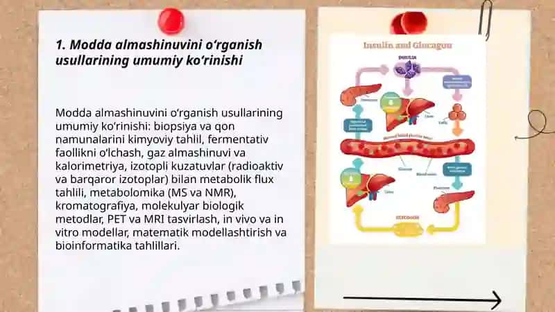 Modda almashinuvini oʻrganish usullari 3