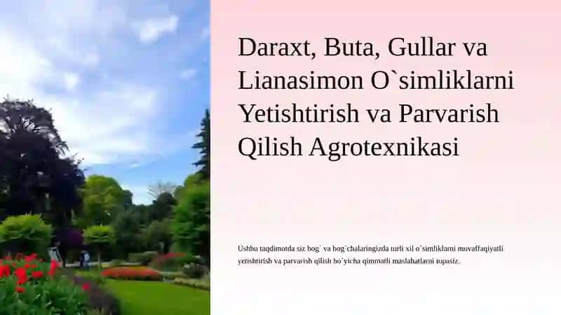 Daraxt, Buta, Gullar va Lianasimon O`simliklarni Yetishtirish va Parvarish Qilish Agrotexnikasi 3