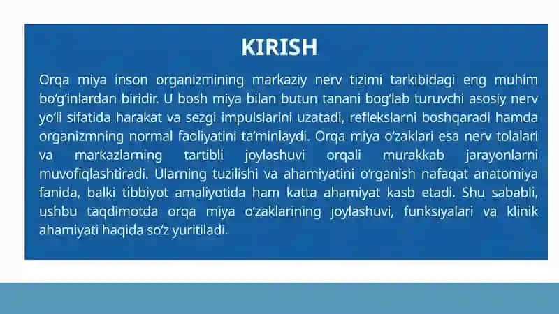 Orqa Miya O‘zaklarining Joylashuvi va Ularning Ahamiyati 3
