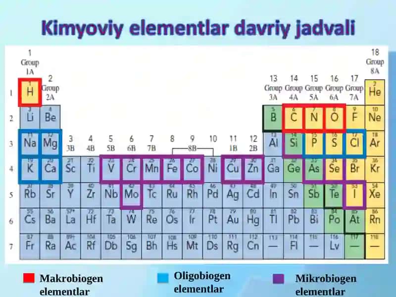 BIOGEN ELEMENTLAR VA ULARNI AHAMIYATI 3