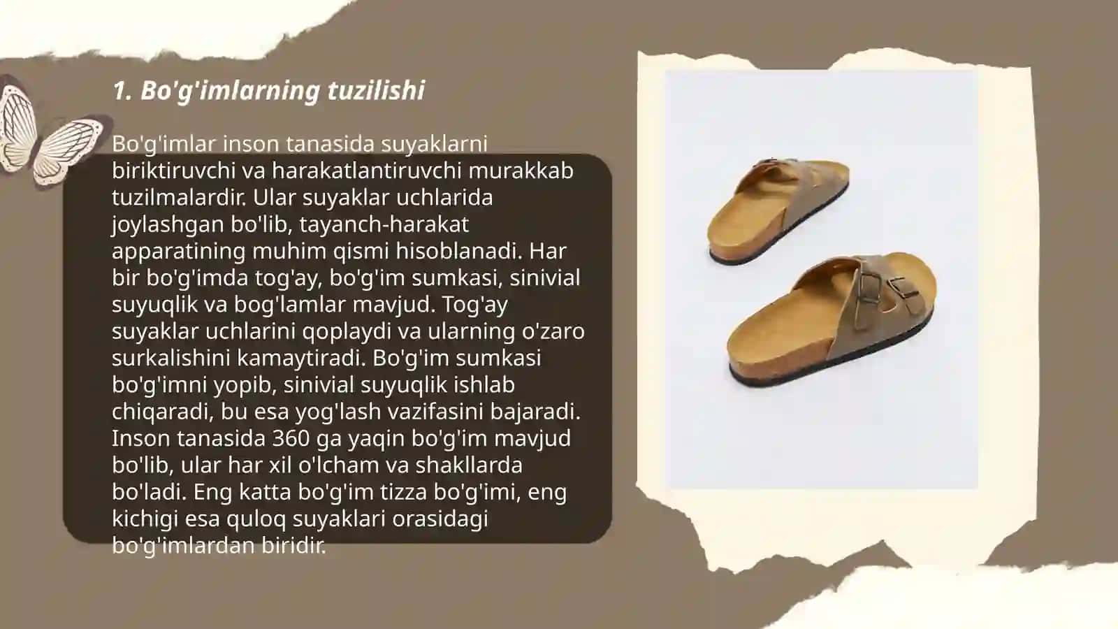 Bo'g'imlar 3