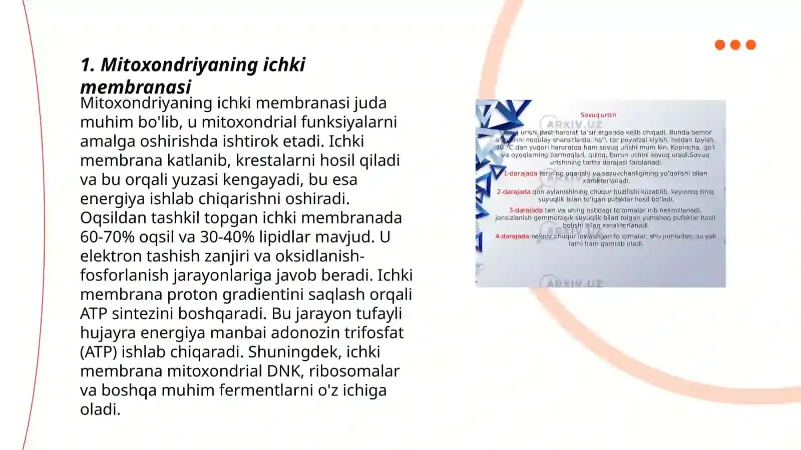 Mitoksondriya membranalarinig tuzilishi va vaziyfalari 3