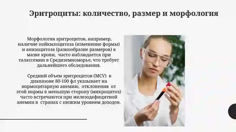 Интерпретация общего анализа крови 3