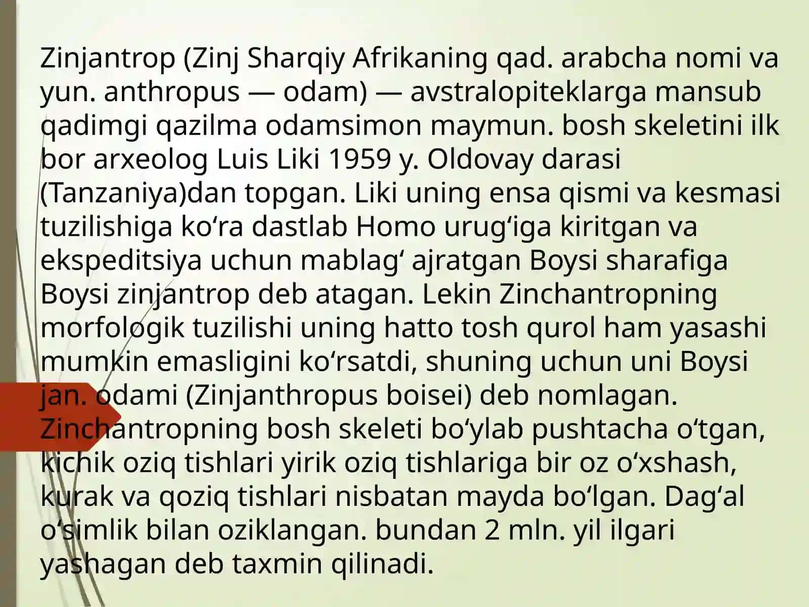 Zamonaviy odam kelib chiqishining arxeologik dalillari 3
