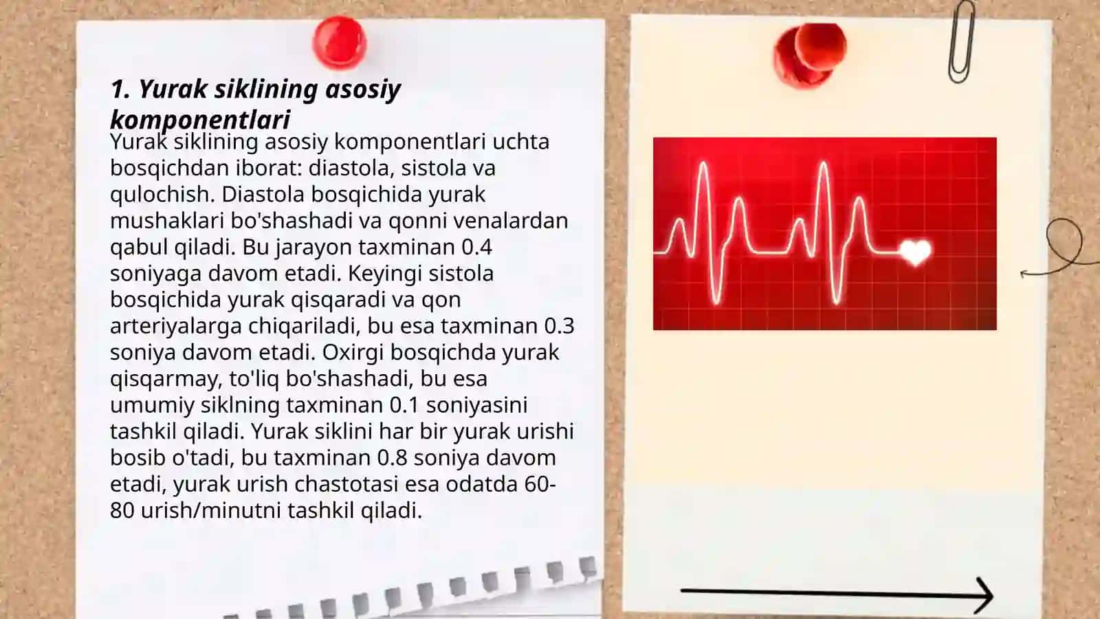 Yurak sikli.Aritmiya va uning nisbatan ko'p uchraydigan turlari 3