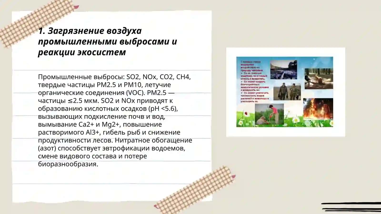 Влияние деятельности человека на природу и ответная реакция природы 3