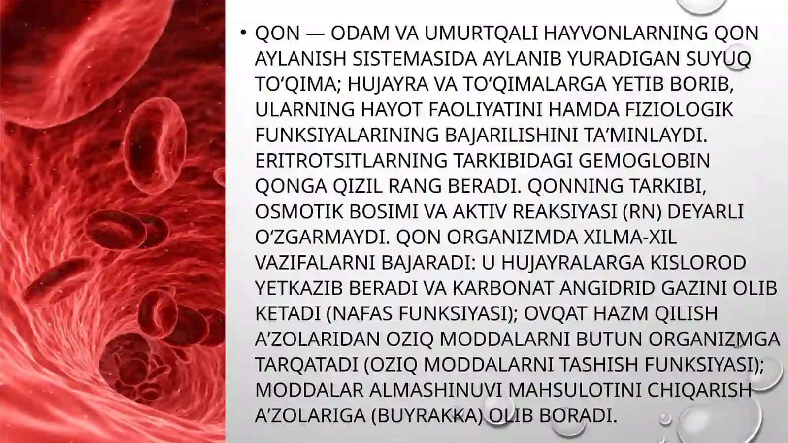 Qonvasiyraktolalibiriktiruvchito’qimalarningo’zaromunosabati 3