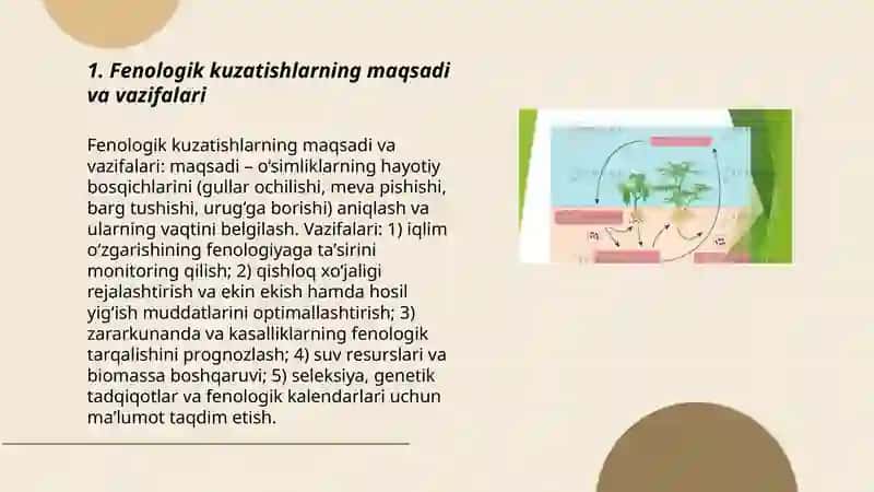 Oʻsimliklarda fenologik kuzatishlar olib borish metodikasi 3