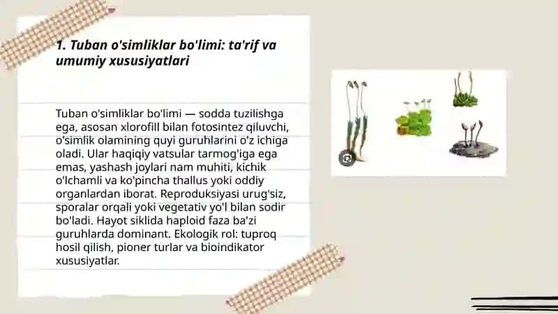 Tuban o'simliklar bo'limi: ta'rif va umumiy xususiyatlari 3