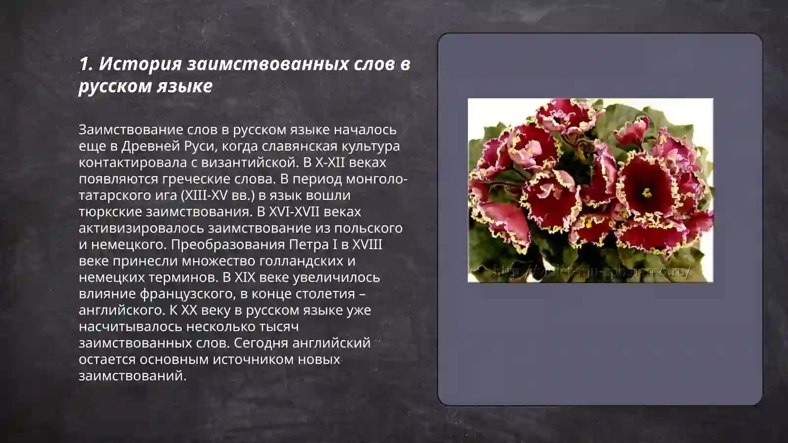 Заимствованные слова в русском языке. Синонимы и Антонимы 3