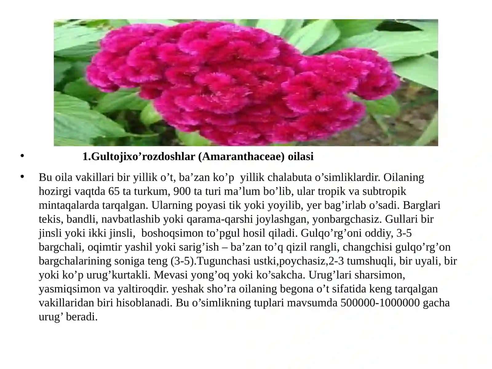 GULTOJIXO’ROZDOSHLAR (AMARANTHACEAE), SHO’RADOSHLAR (CHENOPODIACEAE) TURKUMI TURLARI NOMENKLATURASINI TAHLILI VA O’RGANISH QOIDALARI 3