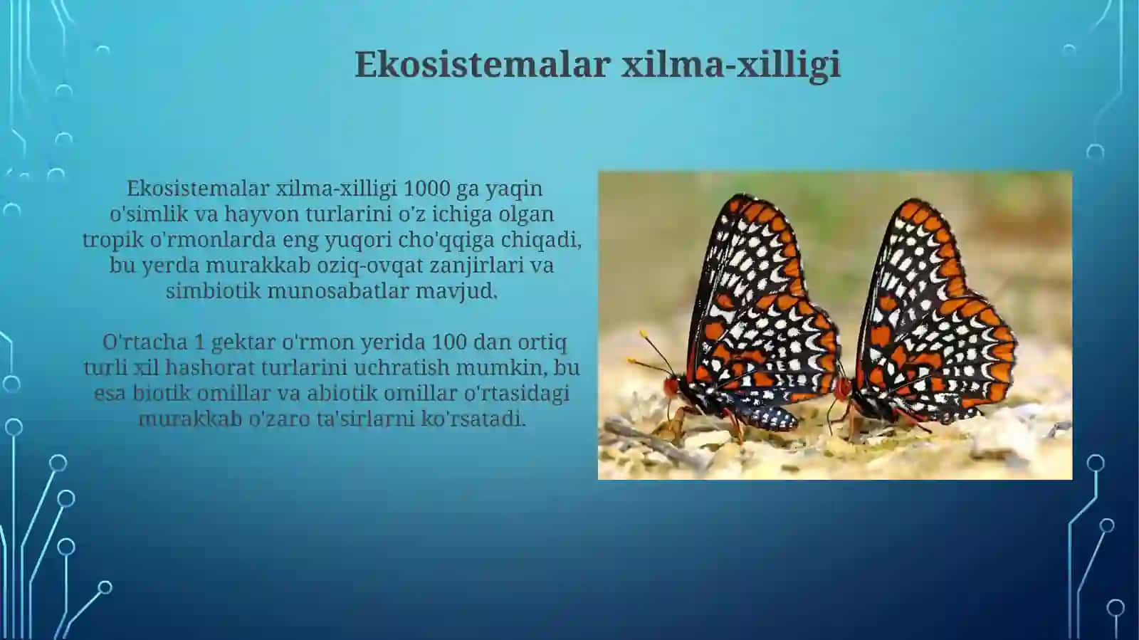 Biologik xilma hillik va uning shakillanishi 3