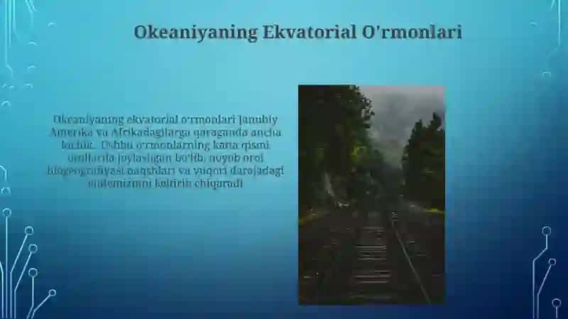 Ekvatorial oʻrmonlar zonasi tarqalgan materikal tasnifi 3
