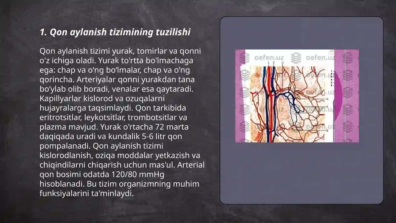 Qon tomirlarida qonning harakati va pulsni oʻrganish.Mikrosirkulyatsiya.Qon aylanish tizimi.Qon tomirlar tonusini boshqarilishi 3